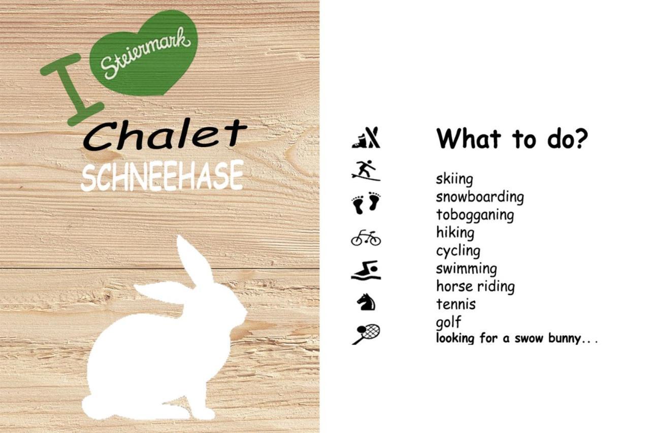 Chalet ?Snow Bunny? Stadl an der Mur Εξωτερικό φωτογραφία
