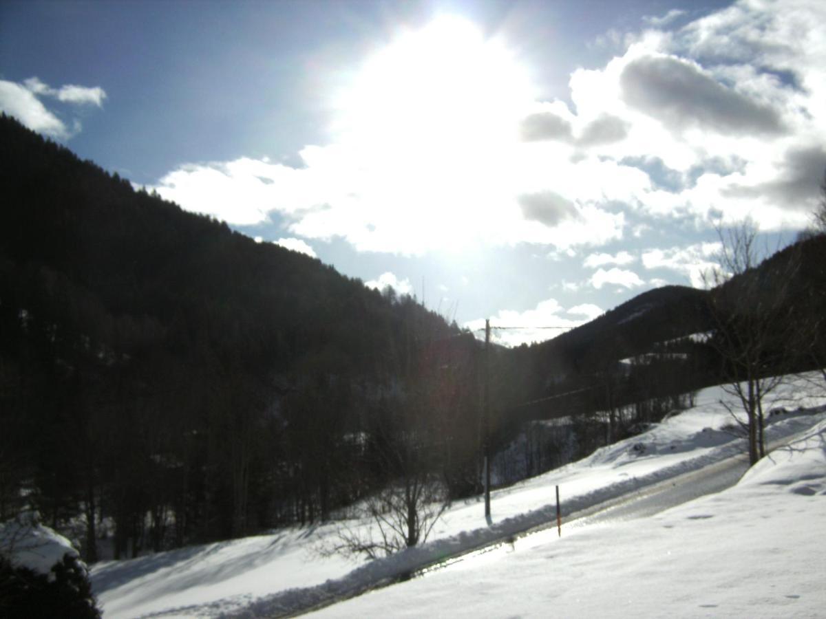 Chalet ?Snow Bunny? Stadl an der Mur Εξωτερικό φωτογραφία